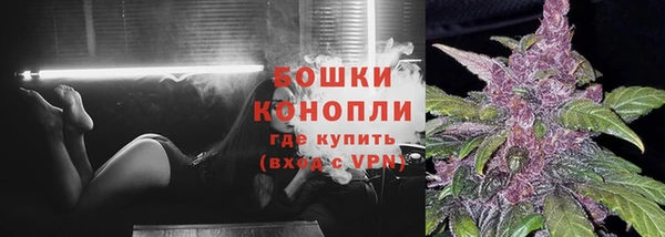 СК Каменск-Шахтинский