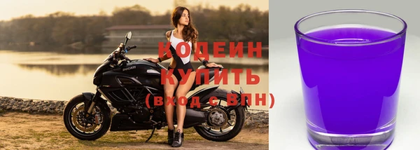 СК Каменск-Шахтинский