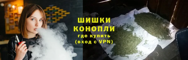 2c-b Каменка