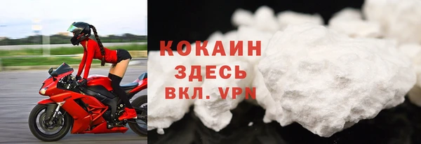 СК Каменск-Шахтинский
