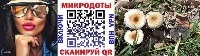 Галлюциногенные грибы Psilocybe  Лосино-Петровский 