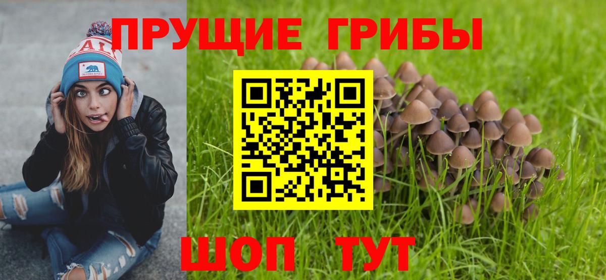 Лосино-Петровский  Псилоцибиновые грибы мицелий  Вход с VPN 