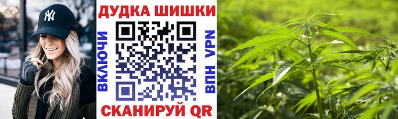 где купить наркоту  Лосино-Петровский  Бошки марихуана Amnesia 